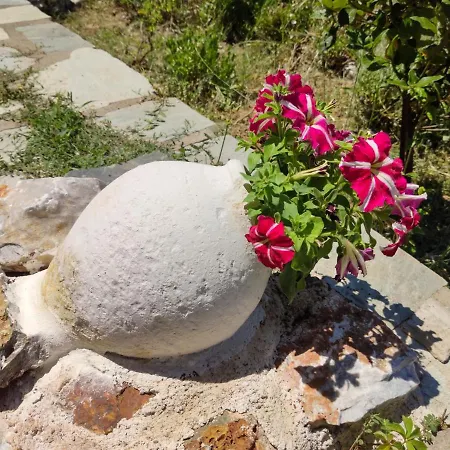 Villa Victoria Villa Ditropo