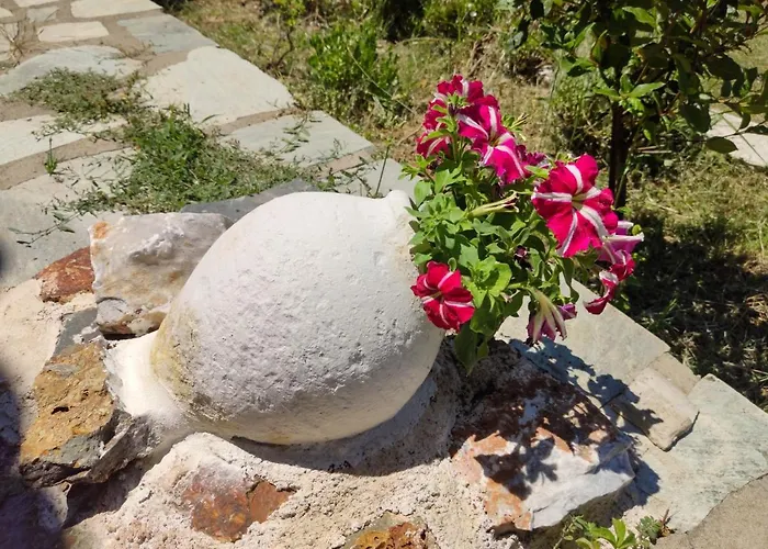 Villa Victoria Villa Ditropo